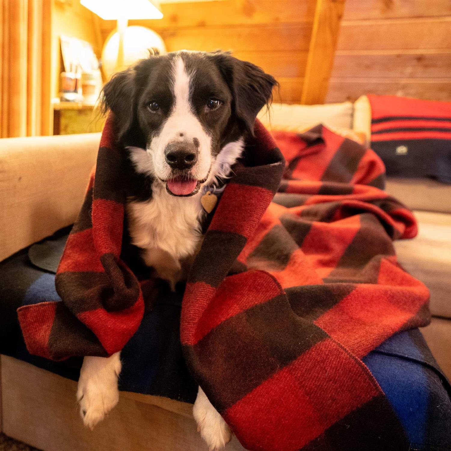 Arcturus Wool Blanket - Image 4