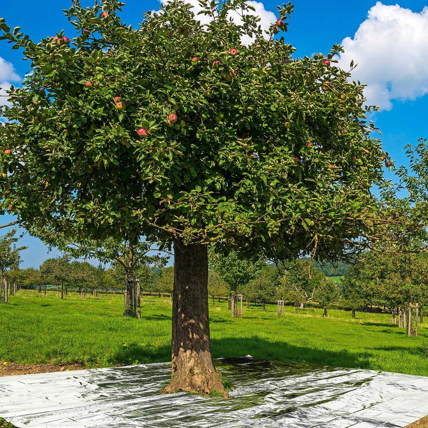 Maitys 4 Pcs Emergency Blankets High Silver Reflective Foil Sheet Heat Foil Protection Rescue Blankets Camping Blanket Hiking Space Blankets and - Image 5