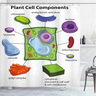 Ambesonne Educational Shower Curtain Chart Showing Plant Cell Components in Cartoon Style Science Living Structure