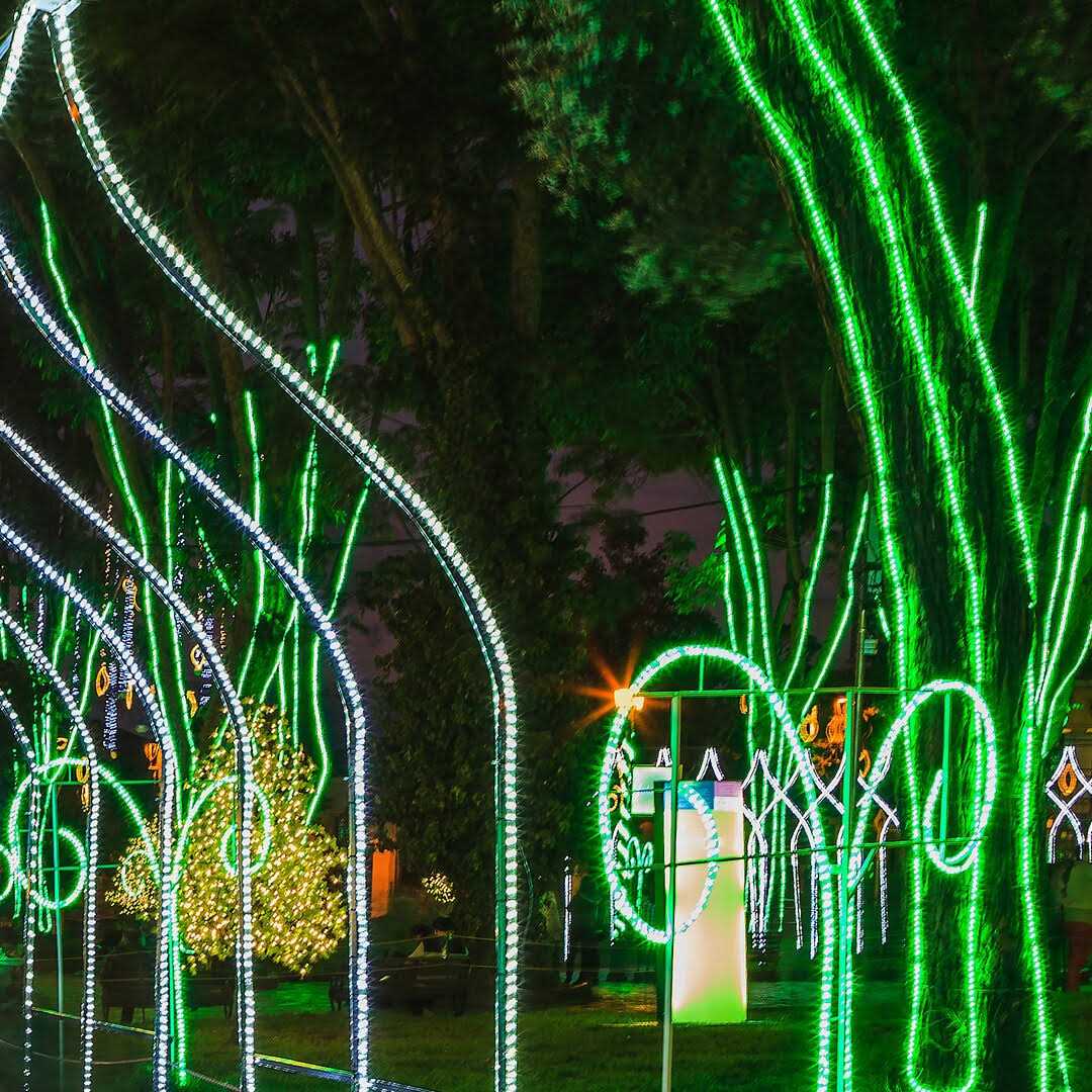 18′ Rope Light - Image 2