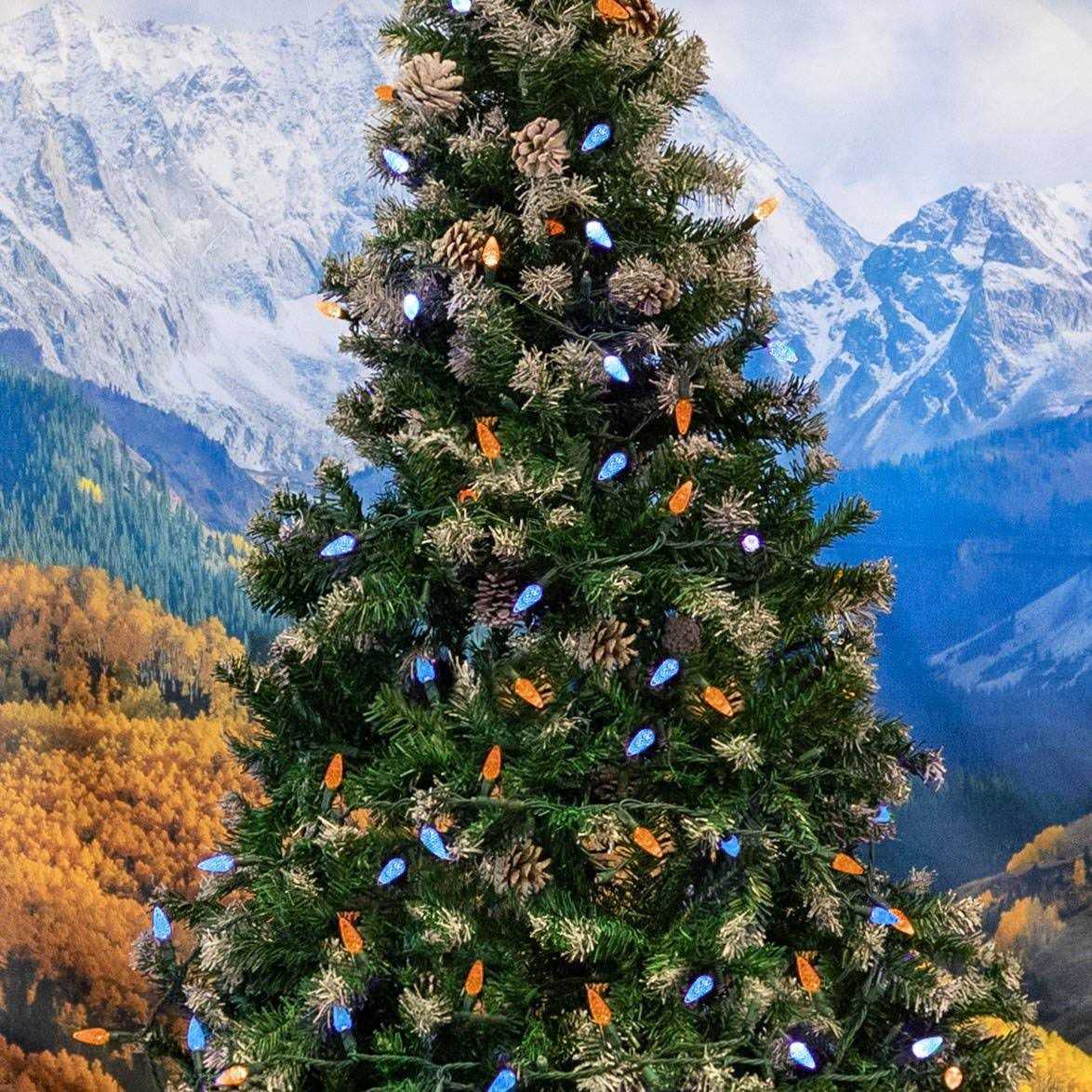 Novelty Lights 70 Light C6 LED Christmas Mini Light Set - Image 4