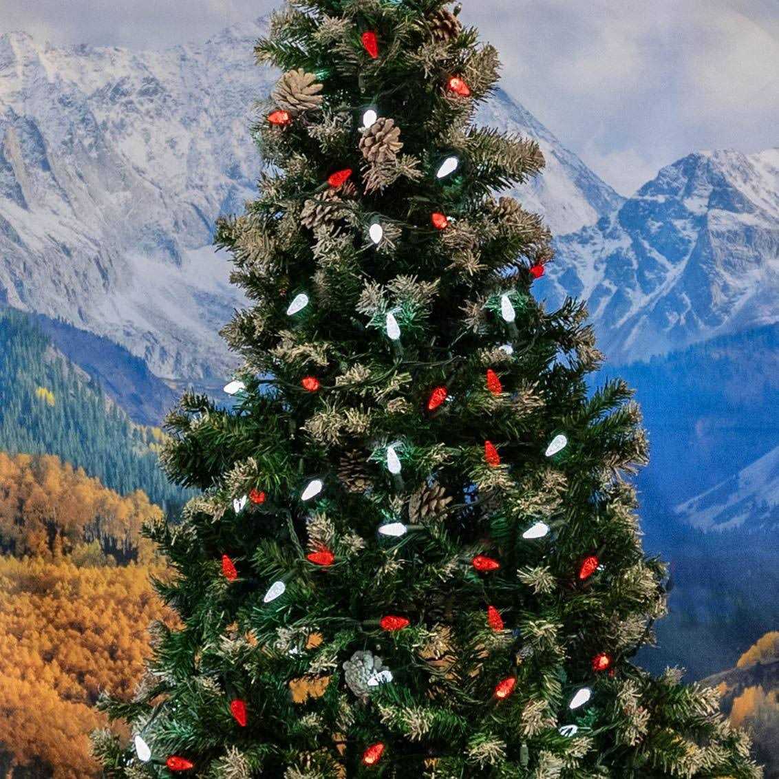 Novelty Lights 70 Light C6 LED Christmas Mini Light Set - Image 2