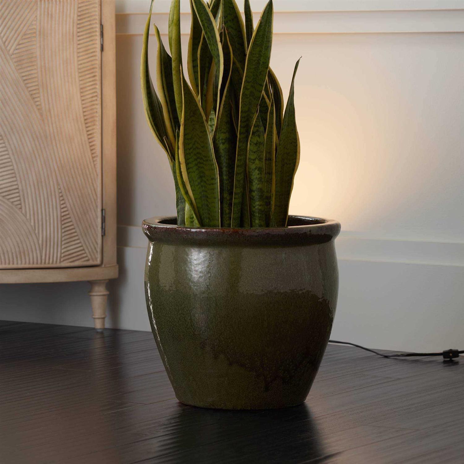 Pro Track Can Mini Uplighting Indoor Accent Spot-Light Plug-in Floor Plant Home Decorative Art Desk - Image 5