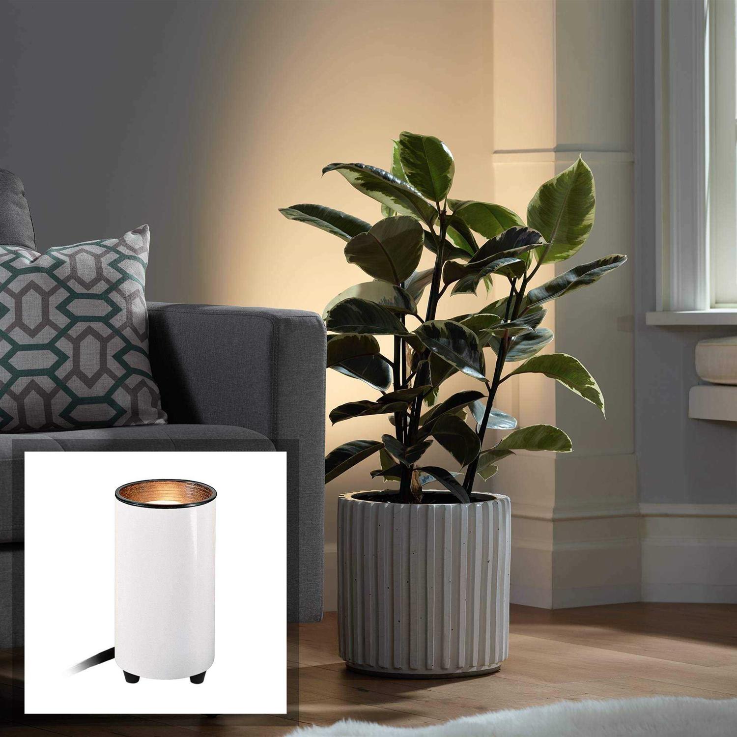 Pro Track Can Mini Uplighting Indoor Accent Spot-Light Plug-in Floor Plant Home Decorative Art Desk