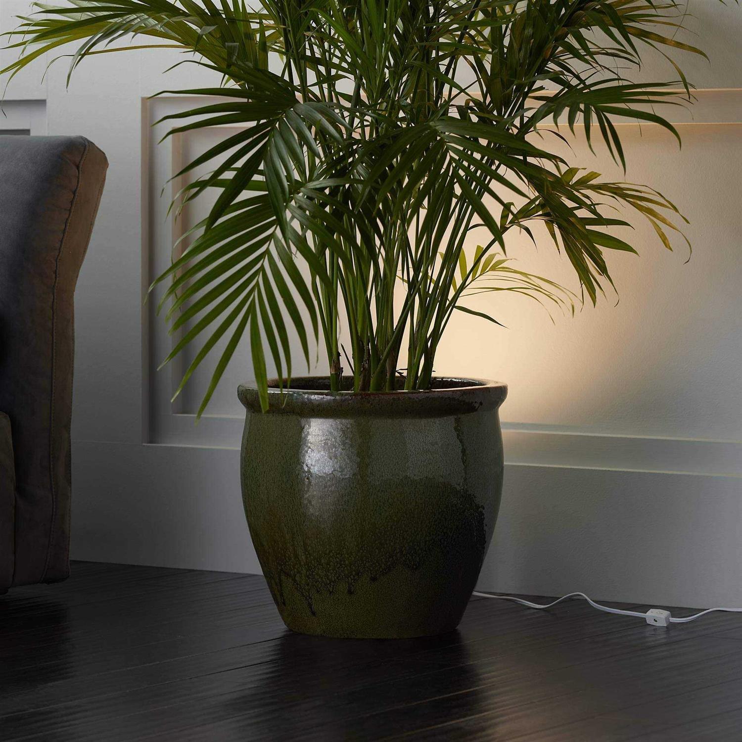 Pro Track Can Mini Uplighting Indoor Accent Spot-Light Plug-in Floor Plant Home Decorative Art Desk - Image 3
