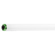Philips 381764 Fluorescent Lamp