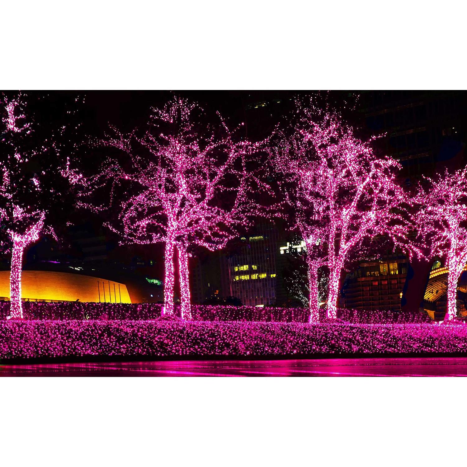 612 Vermont Christmas Lights on a White Wire String, UL Approved Indoor and Outdoor Use - Image 2