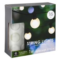16ct. Frosted Globe String Lights by Ashland