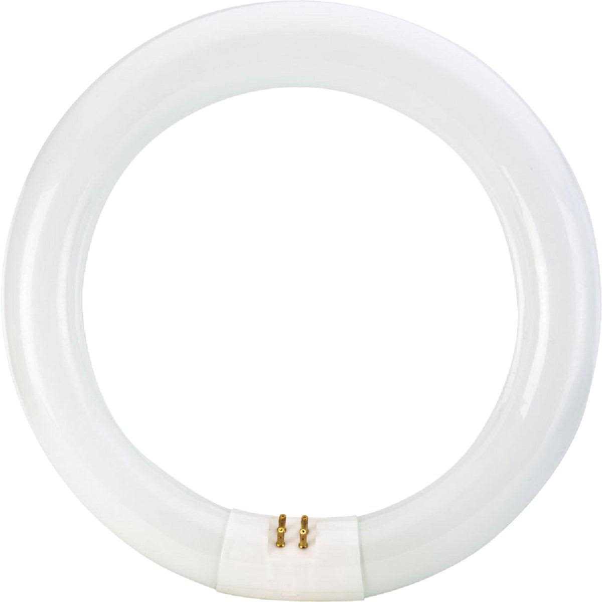 Philips T9 4-Pin Circline Fluorescent Tube Light Bulb - Image 5