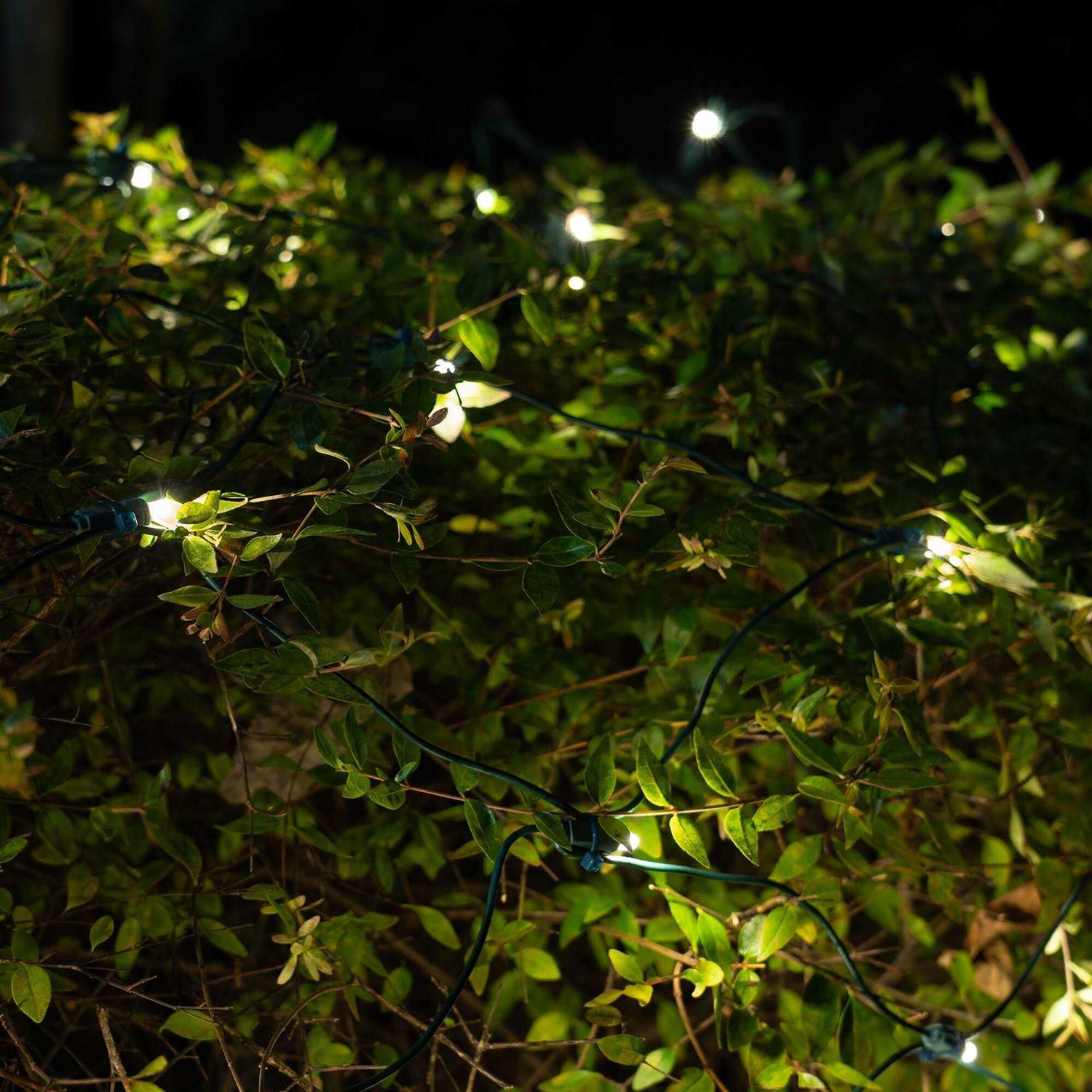 4′ x 6′ 5mm SoftTwinkle LED Net Lights - Image 5