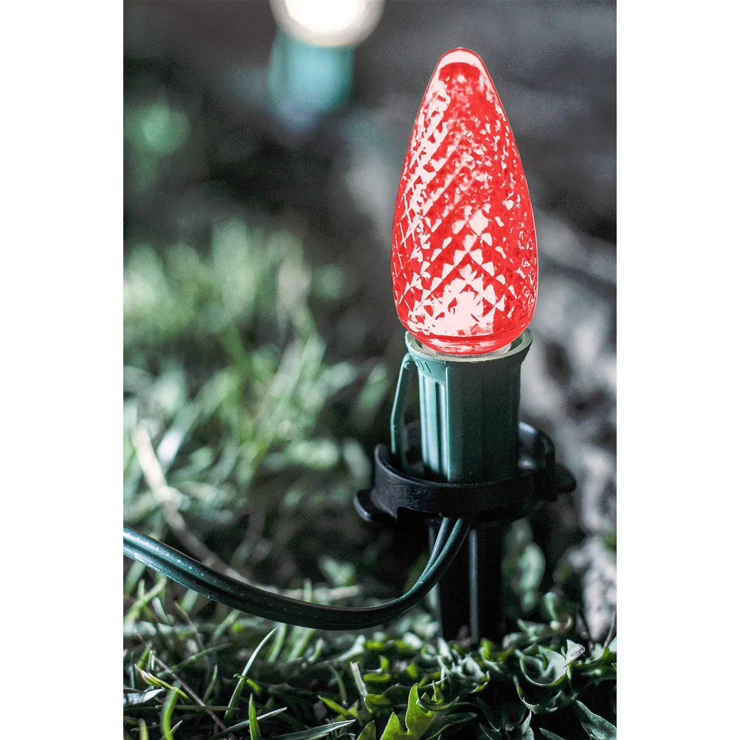 Adams Lawn Speed Stakes - Image 5