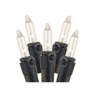 Novelty Lights Clear 100 Light Incandescent Mini Christmas String Lights