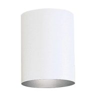 Progress Lighting Cylinder Outdoor P5774