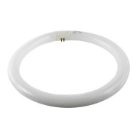 Philips T9 Cool White Circline Fluorescent Light Bulb 391177
