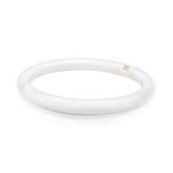 Philips T9 Cool White Circline Fluorescent Light Bulb 391177