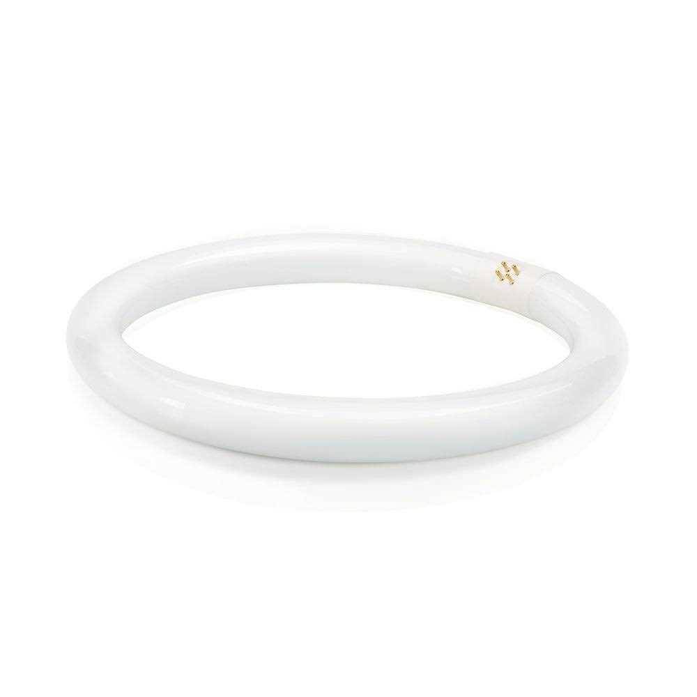 Philips T9 Cool White Circline Fluorescent Light Bulb 391177