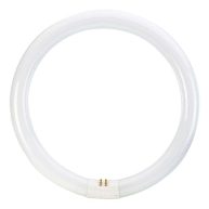 Philips T9 Cool White Circline Fluorescent Light Bulb 391177