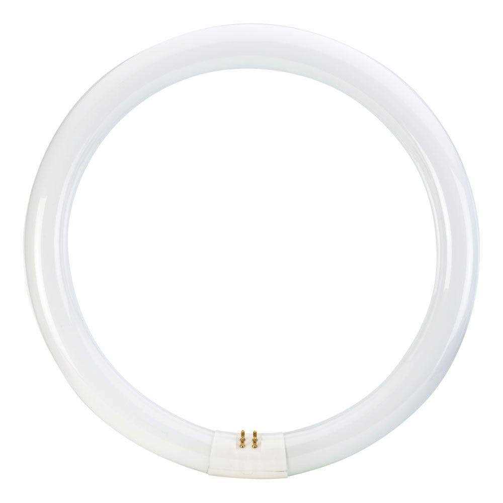 Philips T9 Cool White Circline Fluorescent Light Bulb 391177