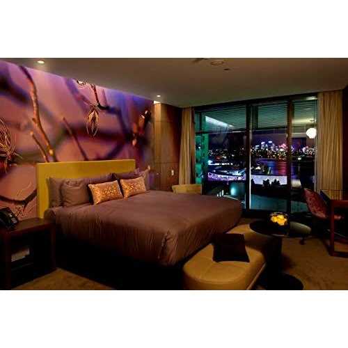 Philips 415794 Indoor Flood 50-Watt MR16 GU10 Base 120-Volt Light Bulb - Image 2