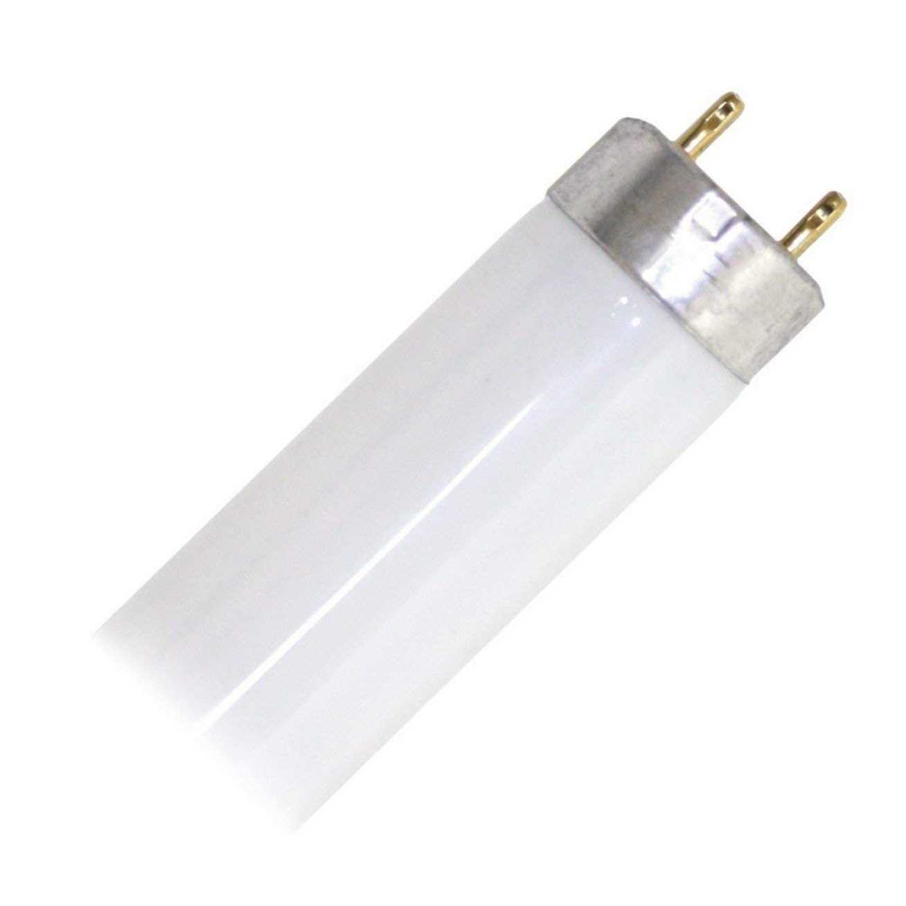 Prolume F15T8CW 15-Watt Linear Fluorescent T8 Bulb Miniature Cool White Mini Bi-Pin Base 18-Inch