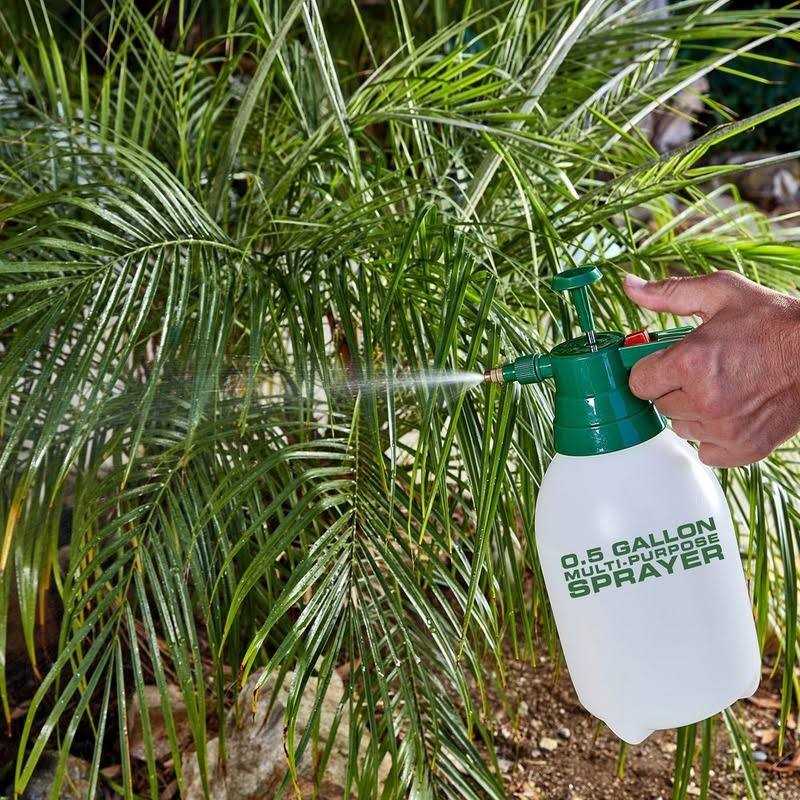 0.5 Gallon Multipurpose Sprayer - Image 3