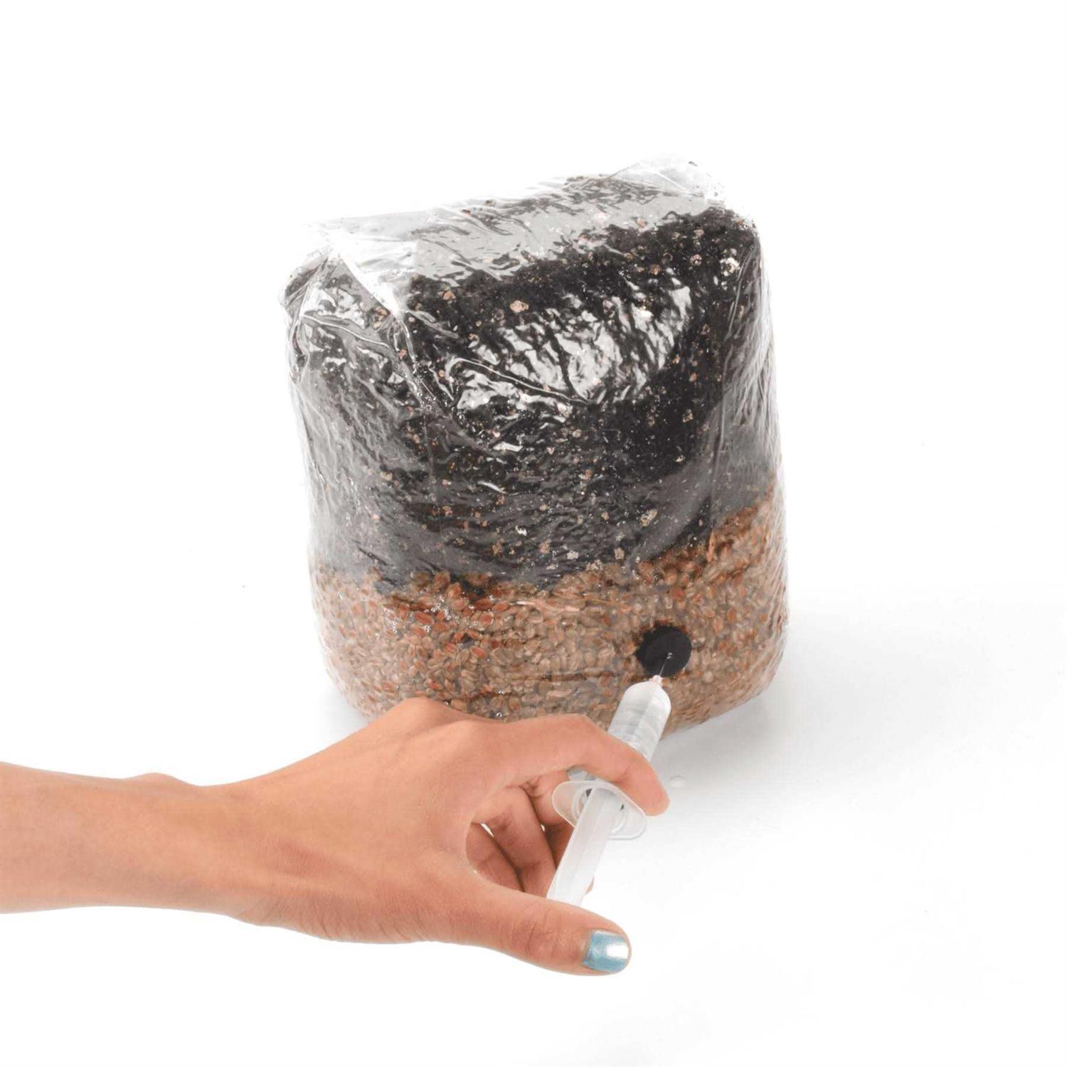 All-in-one Mushroom Grow Bag - Image 3