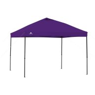 Ozark Trail 10′ x 10′ Straight Leg Instant Canopy