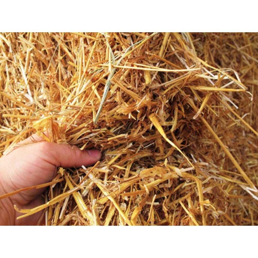 1 Cubic Foot of 100% Natural Wheat Straw - Image 2