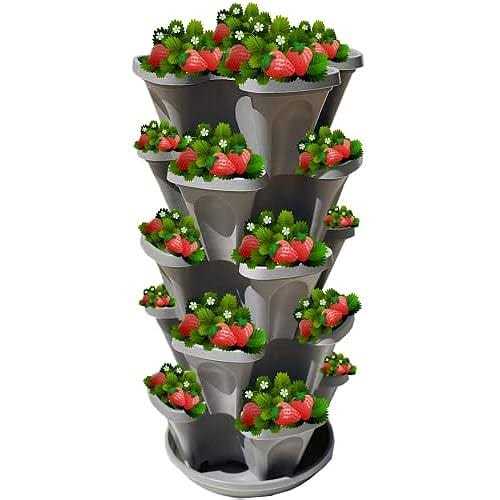 5-Tier Stackable Strawberry Garden – 24 Quart Indoor/Outdoor Stacking Planter with Drip Saucer – Grow Herbs, Strawberries, and Flowers from The