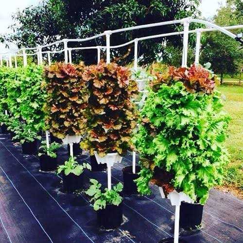 5-Tier Stackable Strawberry Garden – 24 Quart Indoor/Outdoor Stacking Planter with Drip Saucer – Grow Herbs, Strawberries, and Flowers from The - Image 2