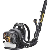 Poulan Pro PR48BT