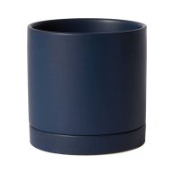 AllModern Carlotta Ceramic Pot Planter