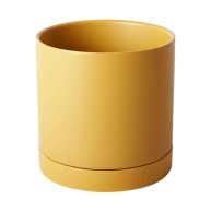 AllModern Carlotta Ceramic Pot Planter
