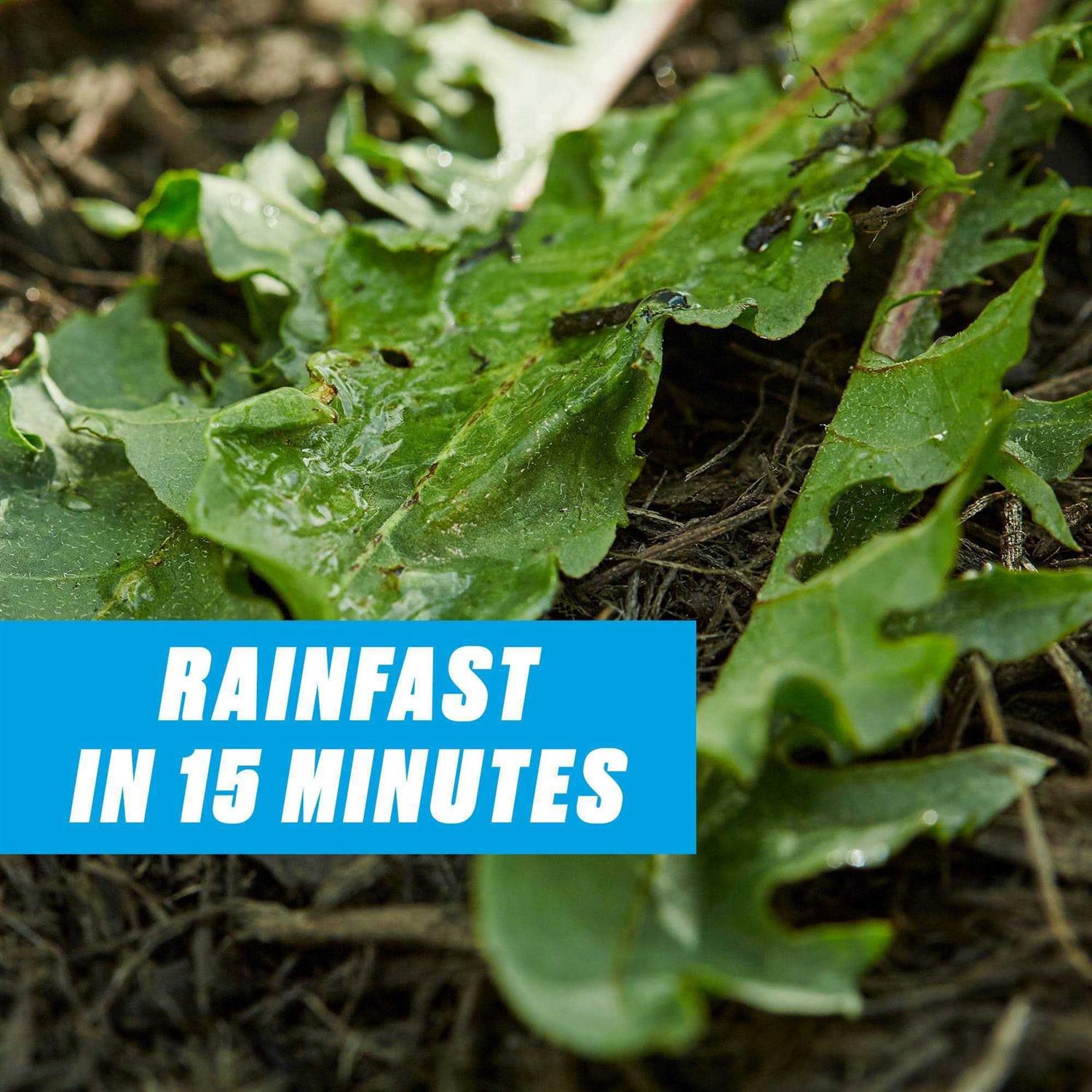 Ortho GroundClear Super Weed & Grass Killer Wand - Image 2