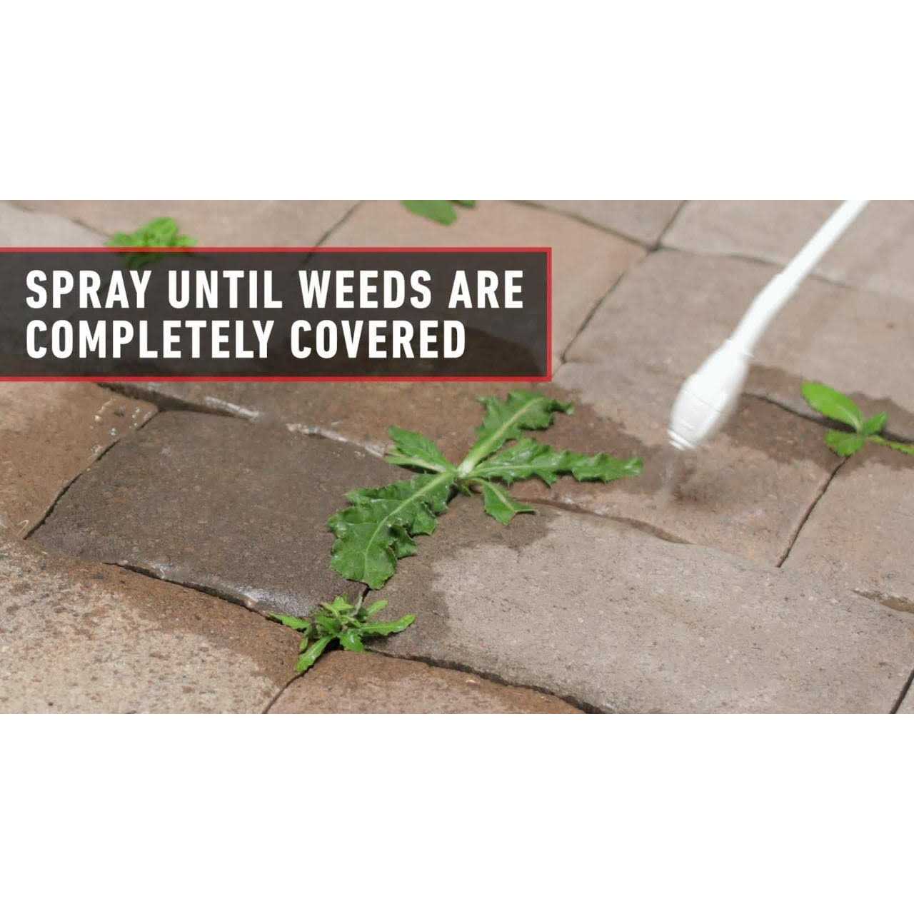 Ortho GroundClear Vegetation Killer 1.33 gal - Image 5