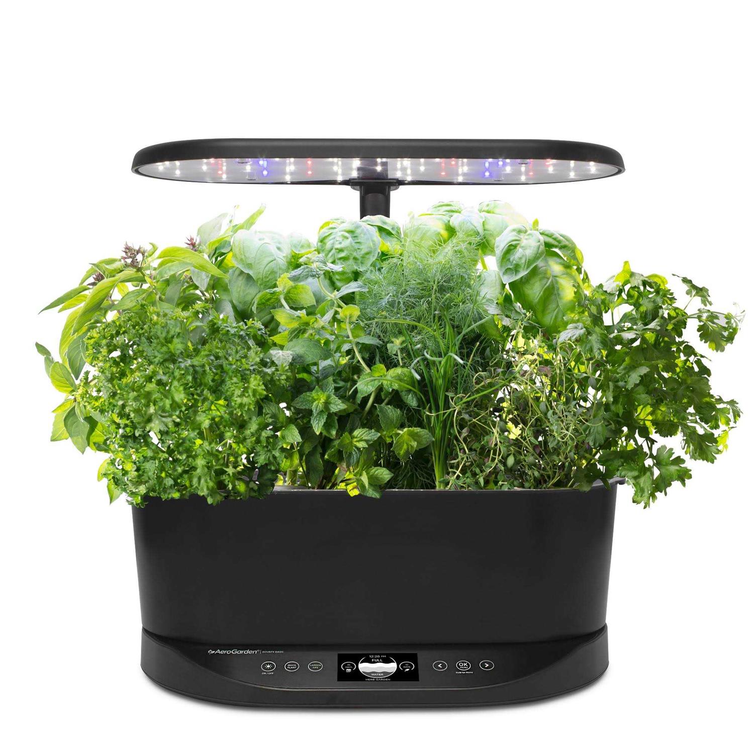 AeroGarden Bounty Basic