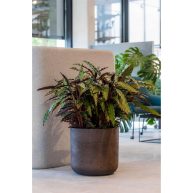 Pottery Pots Charlie Pot Black Washed extra