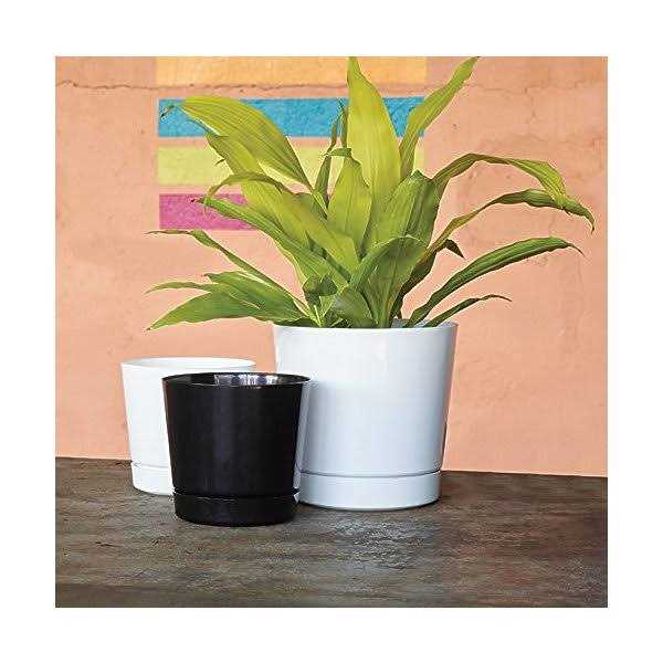 Novelty Full Depth Round Cylinder Pot - Image 4