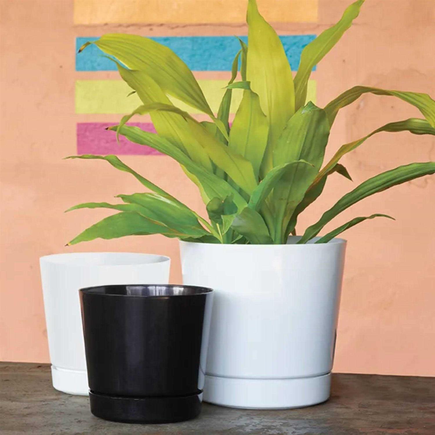 Novelty Full Depth Round Cylinder Pot - Image 5