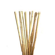 5 Tall Thick Bamboo Poles