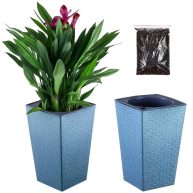 2 Pack Self Watering Planters 10.7 x 6.9 Tall Planter for Indoor Plants Self Watering Violet Pots Plastic Flower Pots Square Planter