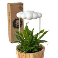 Original Dripping Rain Cloud