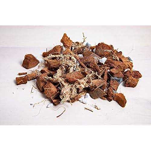 rePotme Phalaenopsis Dark Classic Orchid Mix - Image 5