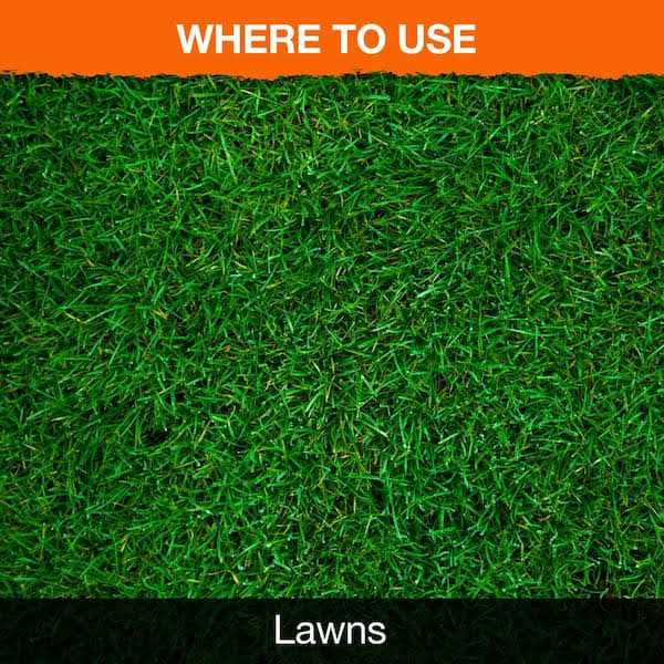 Ortho Nutsedge Killer for Lawns Ready-To-Spray - Image 3