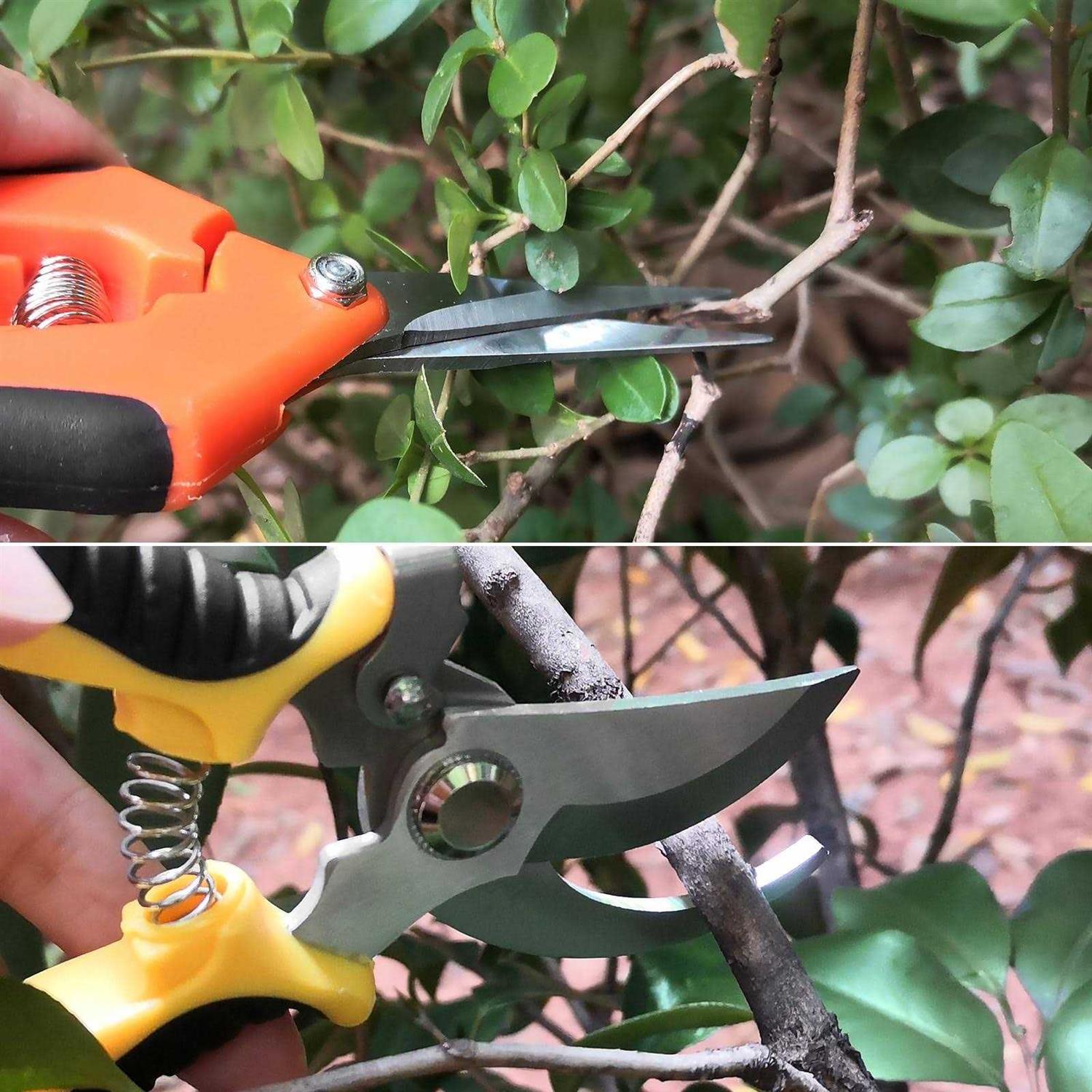 Oligei 2 Pack Pruning Shears Garden Shears Stainless Steel Pruning Shears for Gardening - Image 2