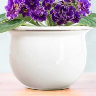 African Violet Pots Ceramic 6.5”W x 4.6”H Self Watering Planter for Indoor Flowers and Plants –