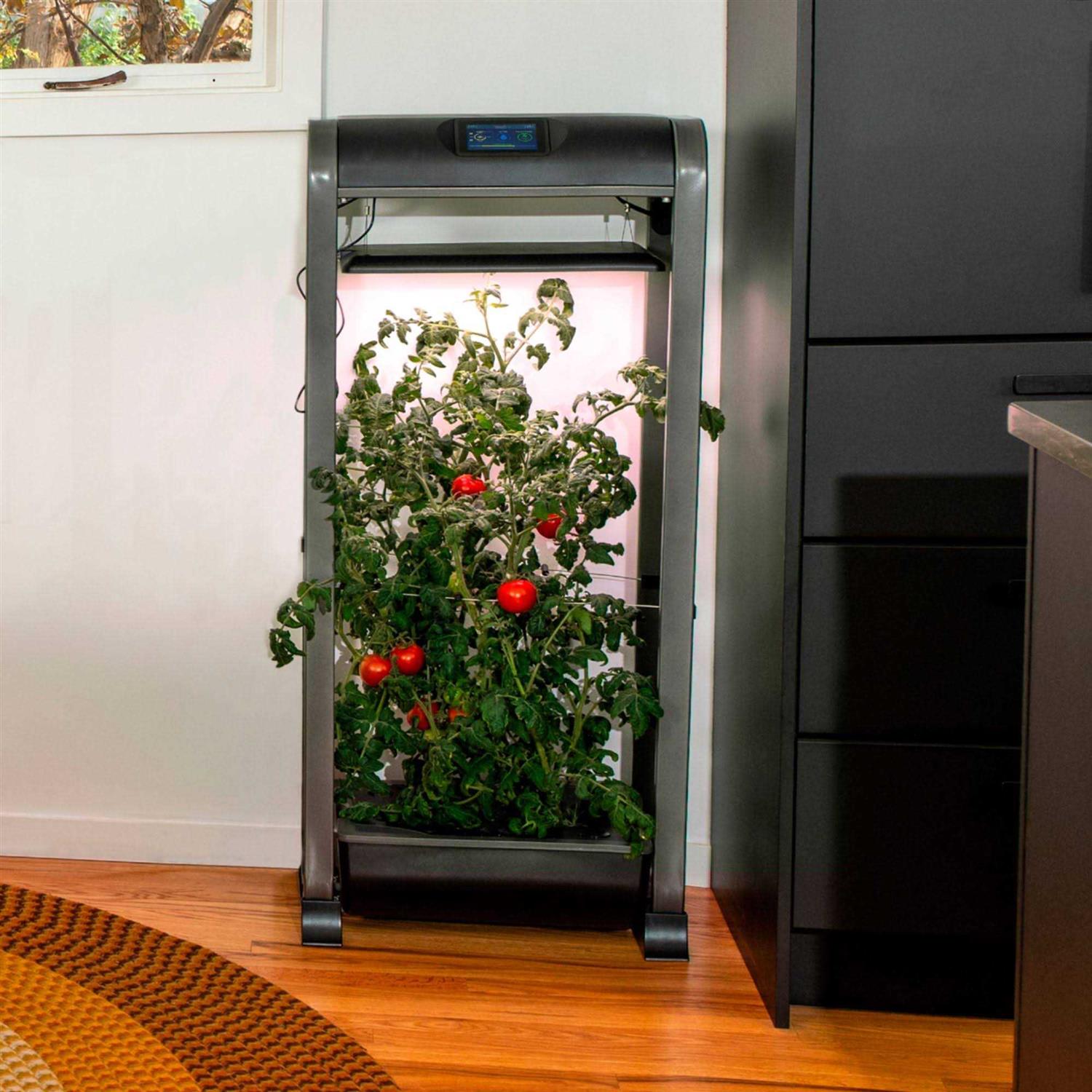 AeroGarden Farm 12XL with Salad Bar Seed Pod Kit - Image 2