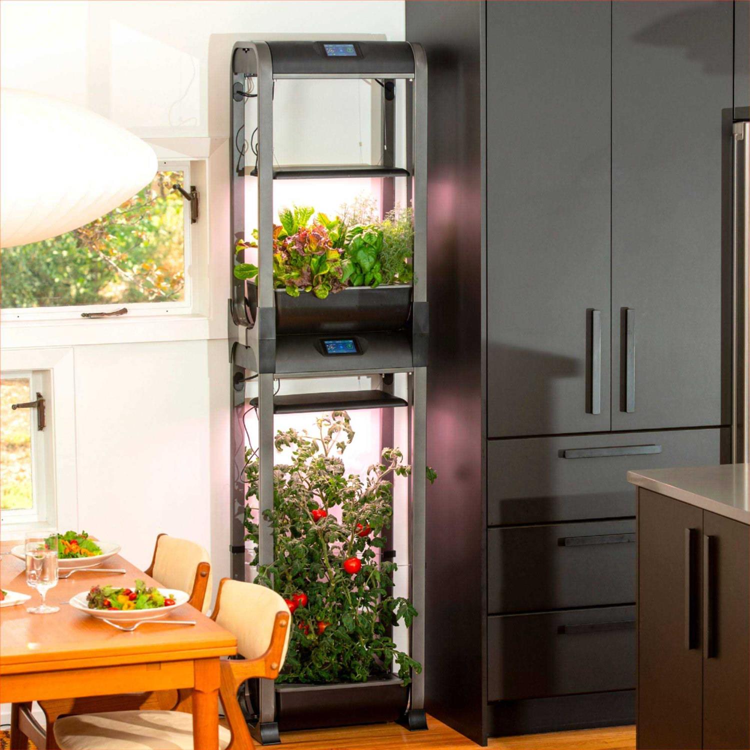 AeroGarden Farm 12XL with Salad Bar Seed Pod Kit - Image 3