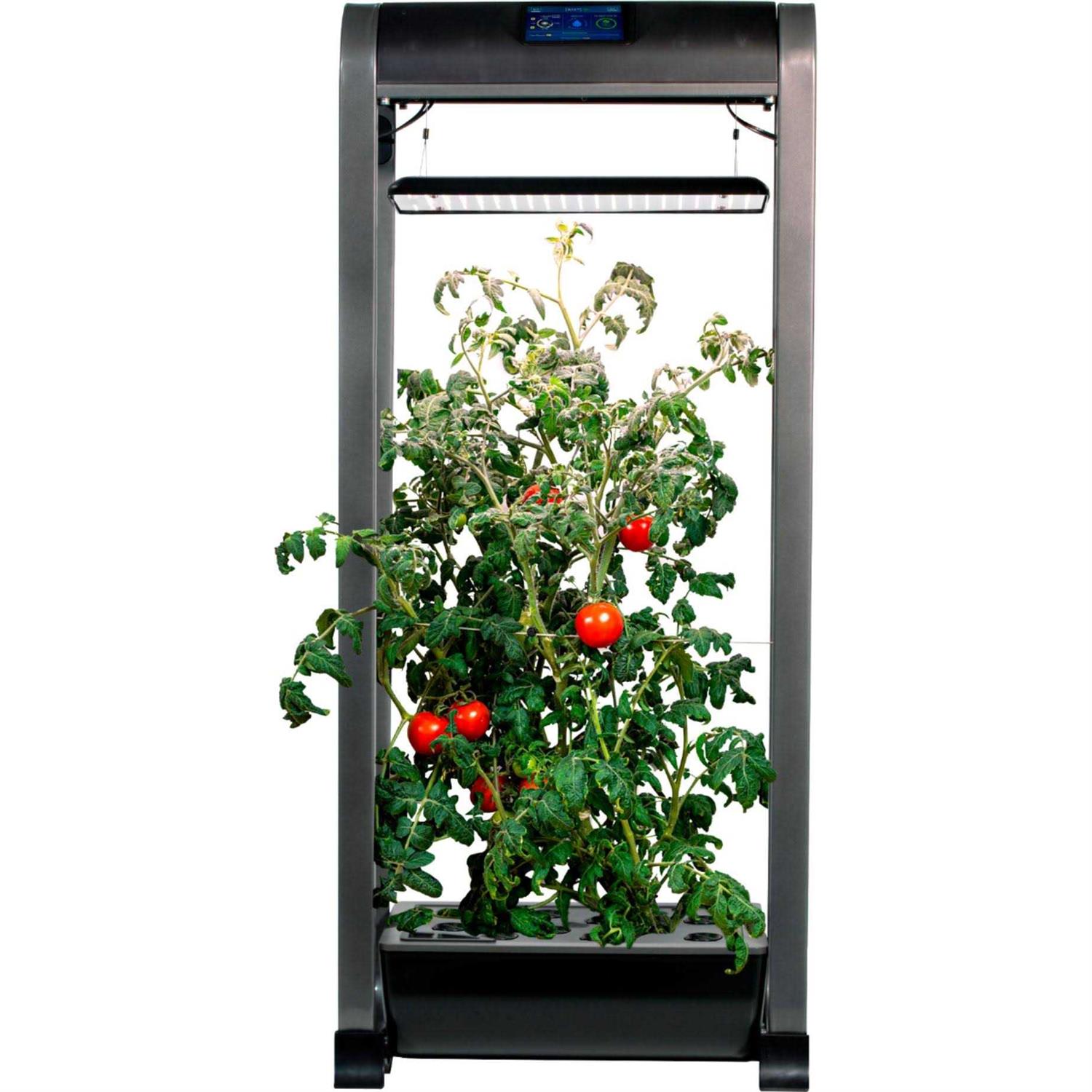 AeroGarden Farm 12XL with Salad Bar Seed Pod Kit - Image 4