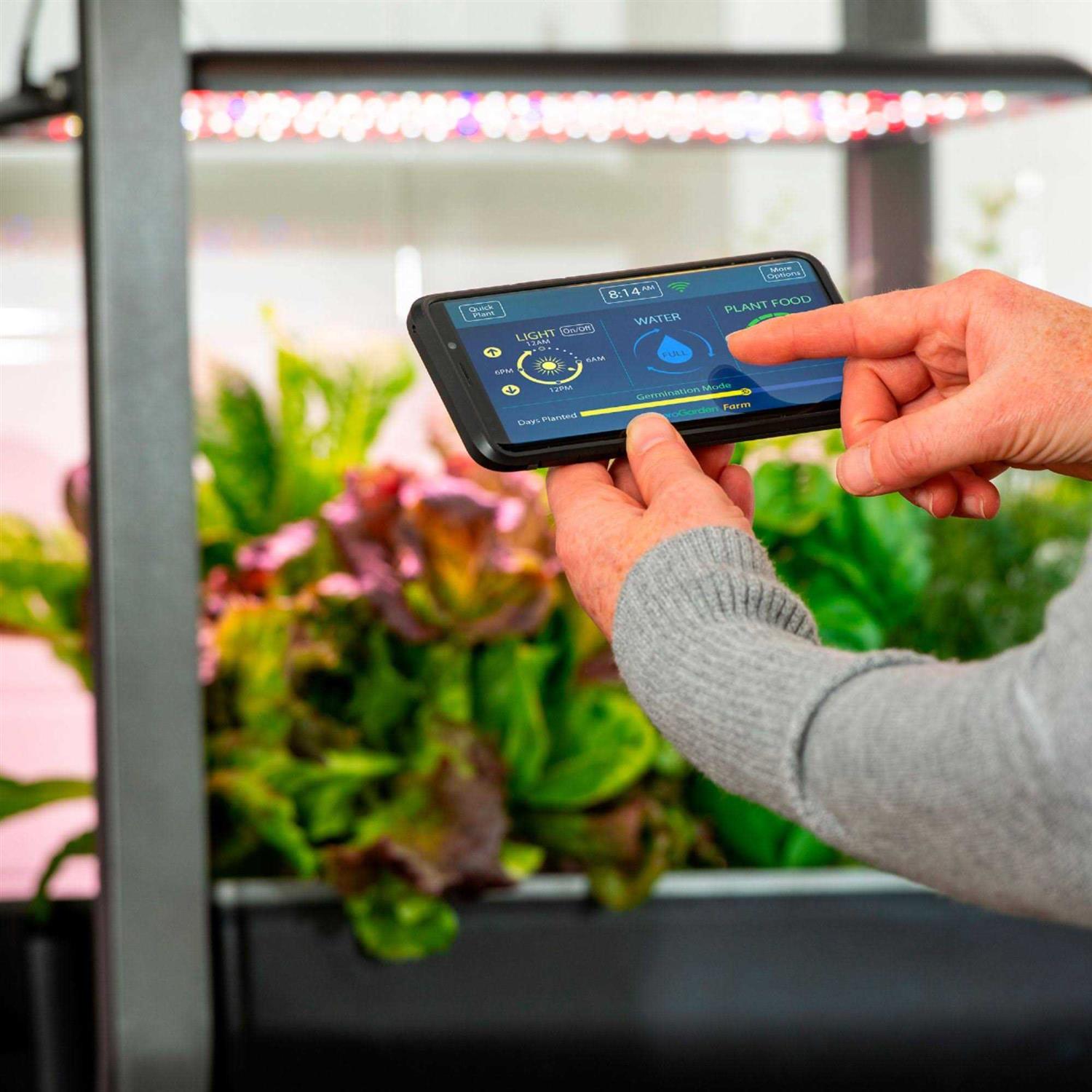 AeroGarden Farm 12XL with Salad Bar Seed Pod Kit - Image 5